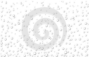 Oxygen air bubbles  flow  in water on white  background