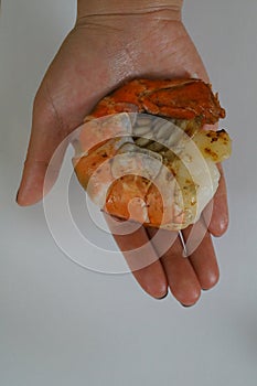 The Oxymoron - World's Largest Jumbo Shrimp - contradictory juxtaposes photo