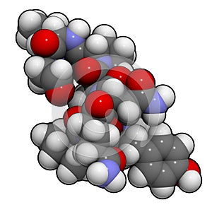 Oxytocin (cuddle hormone) molecule