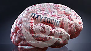 Oxytocin and a human brain