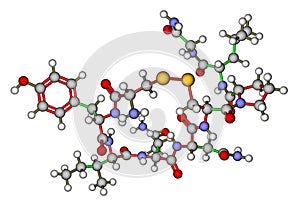 Oxytocin - love hormone molecular structure