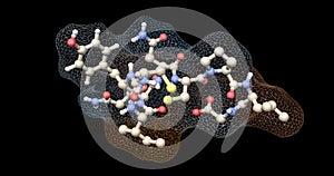Oxytocin molecule, wireframe surface and ball and stick view. 3d rendering photo