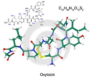 Chemical formula and structure of human hormone oxytocin photo