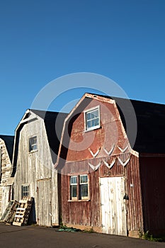 Oyster barns in Prince Edward island