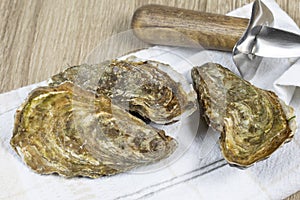 Oyster basket Marennes OlÃ©ron