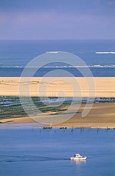 Oyster beds, Pyla, Bay of Biscay, France photo