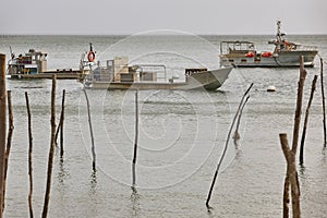 Oyster boats in Arcahon bay coast. Aquaculture seafood industry, France