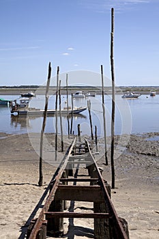 Oyster culture in the Bay of Arcachon