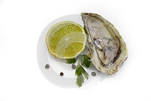 Oyster with dining open fresh , antioxidant refreshment gourmet food salty nutrition white background delicatessen