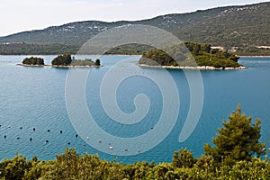 Oyster Farm in Adriatic Sea near Dubrovnik