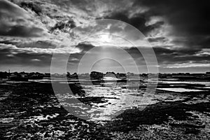 Oyster farm in Quiberon bay