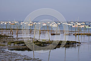 Oyster park of Cap-Ferret in France photo