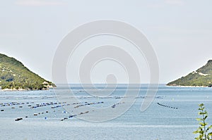 Oyster farms in a bay of the Mediterranean Sea