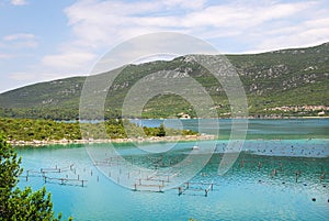 Oyster farms in a bay of the Mediterranean Sea