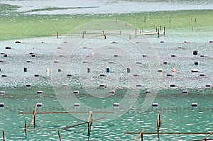 Oyster farms in a bay of the Mediterranean Sea