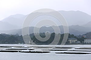 Oyster farms on the island of Honshu