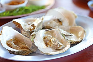Oyster
