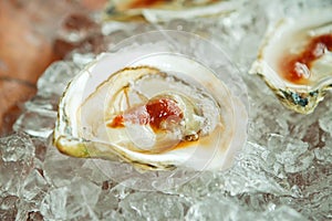 Oyster half shell