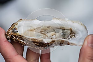 Oyster in the hand of a person