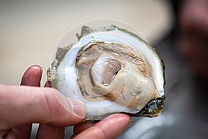 Oyster in the hand of a person ready to eat