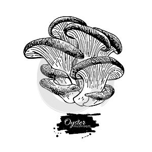 Oyster mushroom hand drawn vector illustration. Sketch food
