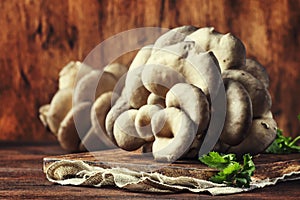 Oyster mushroom on vintage wooden kitchen table, still life in rustic style, selective focus