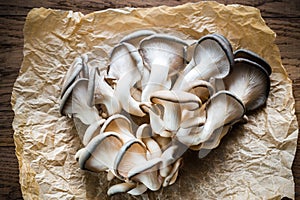 Oyster mushrooms
