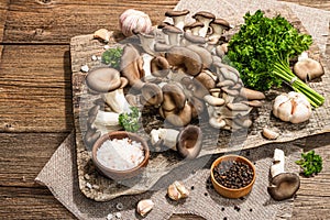 Oyster mushrooms ready for cooking. Fresh parsley, spices, garlic. Trendy hard light, dark shadows