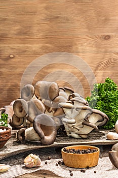 Oyster mushrooms ready for cooking. Fresh parsley, spices, garlic. Trendy hard light, dark shadows