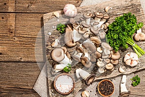 Oyster mushrooms ready for cooking. Fresh parsley, spices, garlic. Trendy hard light, dark shadows