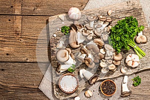 Oyster mushrooms ready for cooking. Fresh parsley, spices, garlic. Trendy hard light, dark shadows