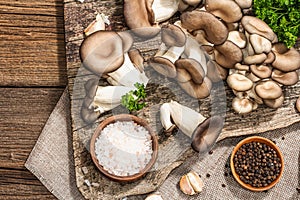 Oyster mushrooms ready for cooking. Fresh parsley, spices, garlic. Trendy hard light, dark shadows