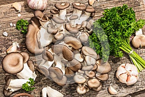 Oyster mushrooms ready for cooking. Fresh parsley, spices, garlic. Trendy hard light, dark shadows