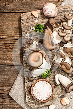 Oyster mushrooms ready for cooking. Fresh parsley, spices, garlic. Trendy hard light, dark shadows