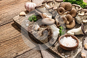 Oyster mushrooms ready for cooking. Fresh parsley, spices, garlic. Trendy hard light, dark shadows