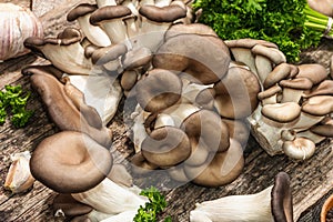 Oyster mushrooms ready for cooking. Fresh parsley, spices, garlic. Trendy hard light, dark shadows