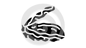 oyster opened shell glyph icon animation