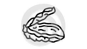 oyster opened shell line icon animation