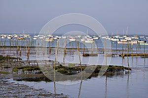 Oyster park of Cap-Ferret in France