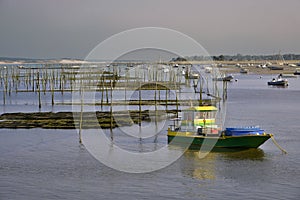 Oyster park of Cap-Ferret in France