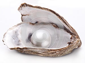 Oyster with pearl isolated.