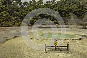 Oyster Pool, a natural thermal pool at Waiotapu Thermal Wonderland in New Zealand.