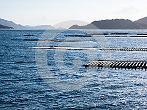Oyster raft farms in Hiroshima Bay of Seto Inland Sea