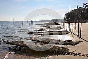 Austern aus Bucht kanon gemeinde Strand niedrig gezeiten Frankreich 