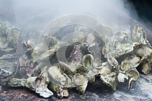 Oyster Roast