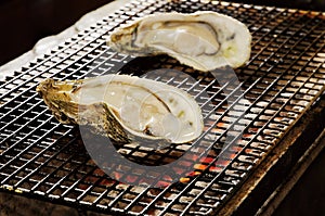 Oyster roast