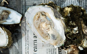 Oyster Roast with Raw Oysters on Half Shell