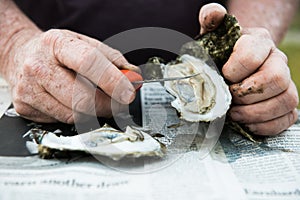 Oyster Roast with Raw Oysters on Half Shell photo