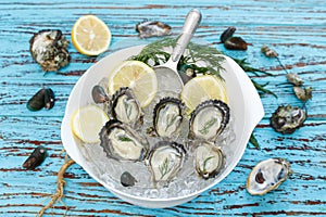 Oyster seafood lemon dill fresh mussel asia appetizer