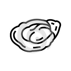 oyster seafood line icon vector illustration